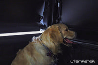 Dog Vent Kit